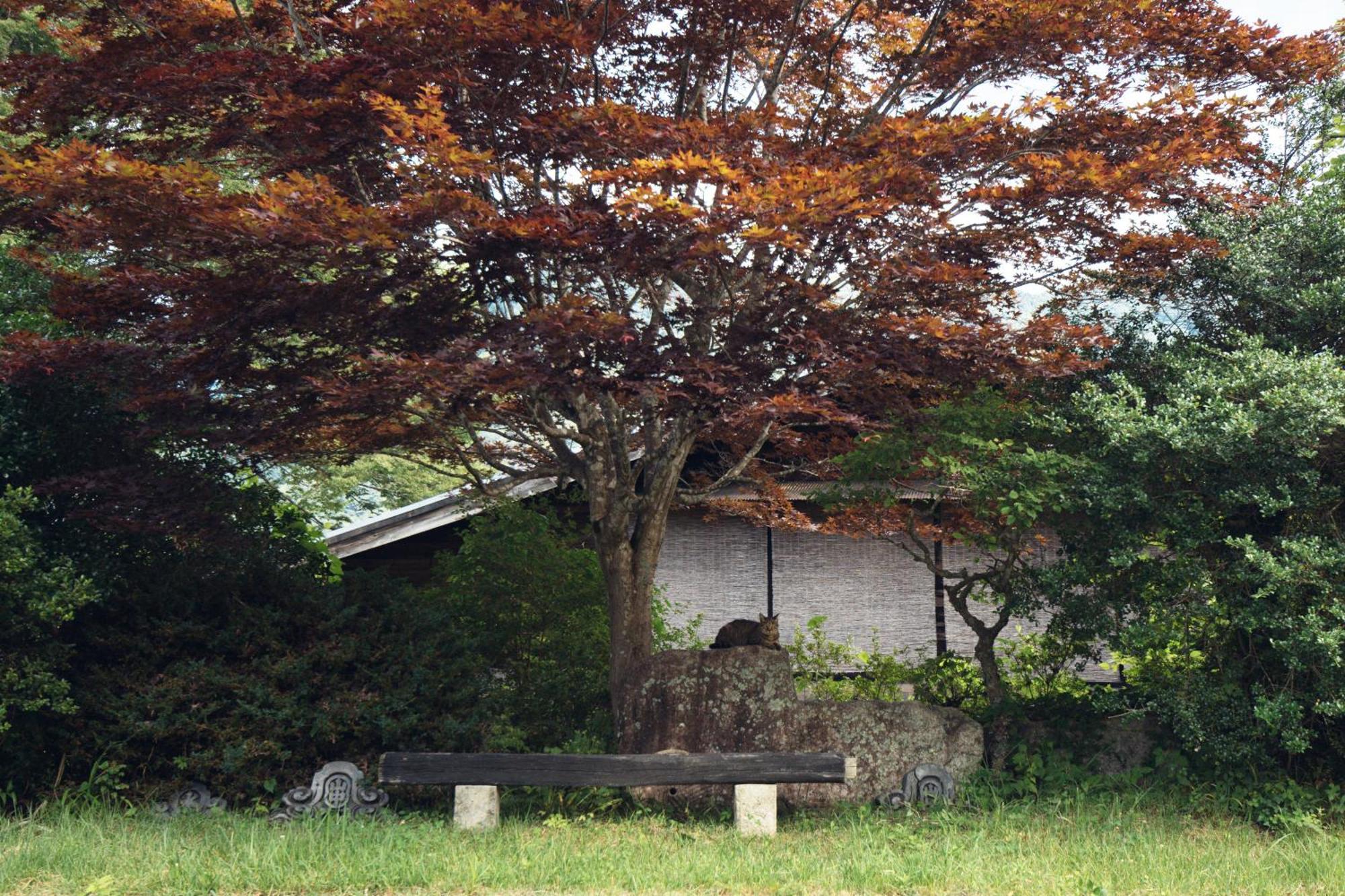 Hostel Yui-An Nagiso Exterior photo